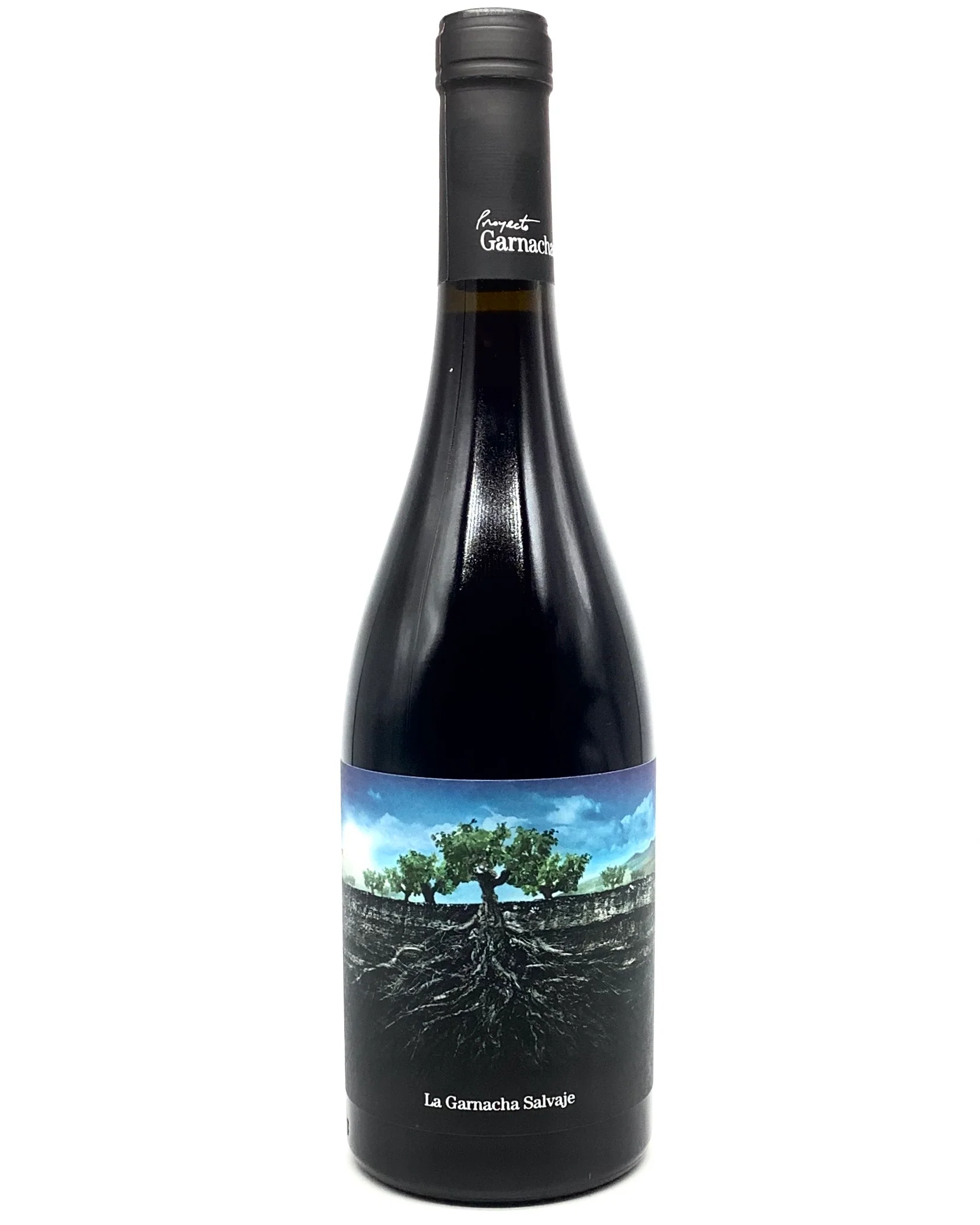 Proyecto, Garnacha, Salvaje del Moncayo, Spain 2022